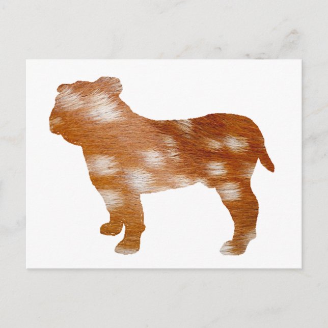 Cartão Postal silo de fole (Frente)