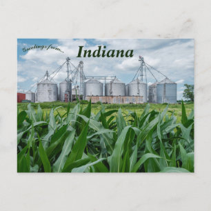 Cartão Postal Silos e um Milharal em Indiana