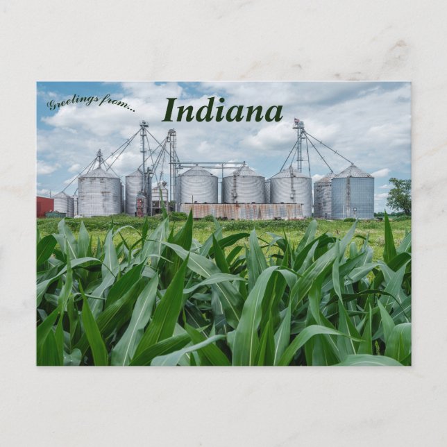 Cartão Postal Silos e um Milharal em Indiana (Frente)