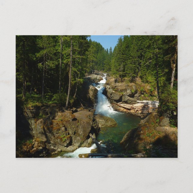 Cartão Postal Silver Falls no Parque Nacional do Monte Rainier (Frente)