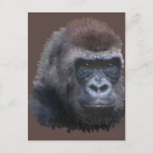 Cartão Postal Silverback Gorilla
