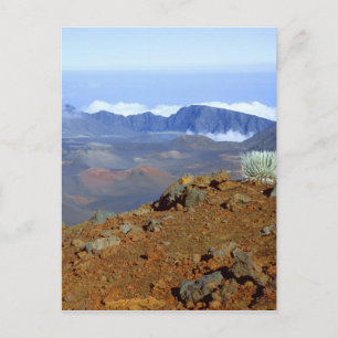 Cartão Postal Silversword no cume da cratera Haleakala a partir