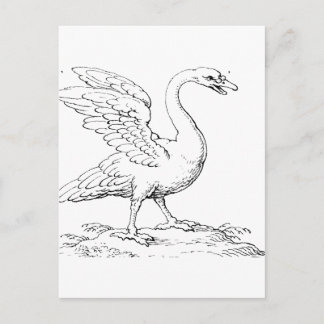Cartão Postal Símbolo de Cisne de Amor e Fidelidade Arte Refinad