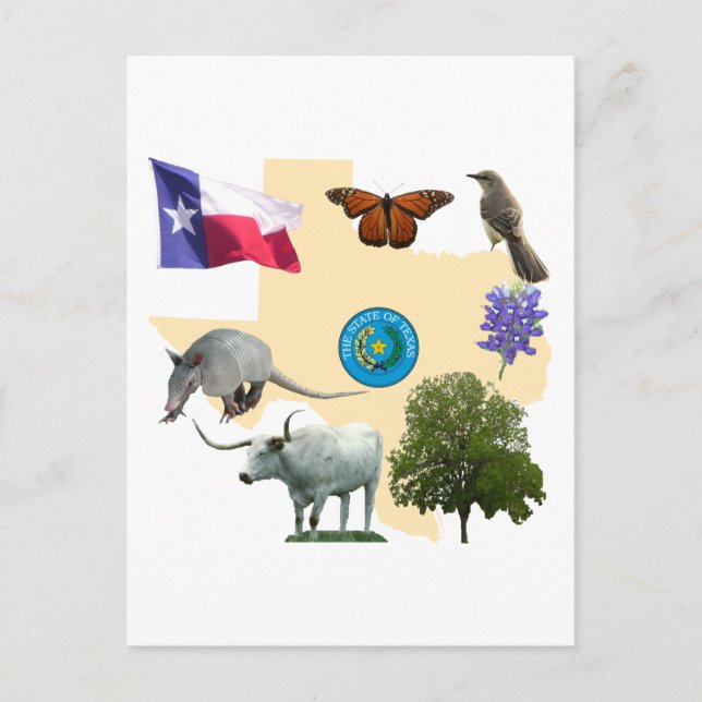 Cartão Postal Símbolos do Estado do Texas (Frente)