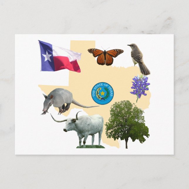 Cartão Postal Símbolos do Estado do Texas (Frente)