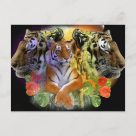 Cartão Postal Simetria do Tigre zoológico