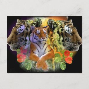 Cartão Postal Simetria do Tigre zoológico