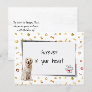 Cartão Postal Simpatia pela Perda de Animal de Estimação Golden
