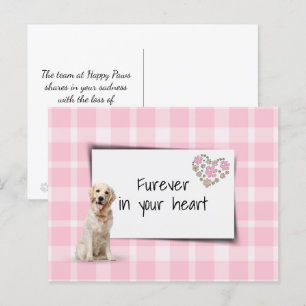 Cartão Postal Simpatia pela Perda de Cachorro Golden Retriever