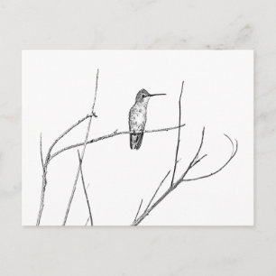 Cartão Postal Simplesmente um beija-flor em um graveto