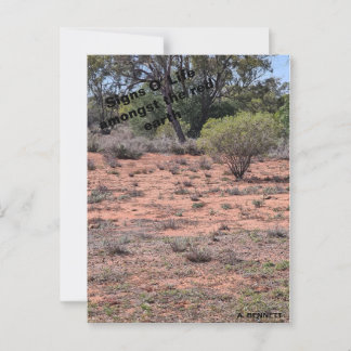 Cartão Postal Sinais da vida