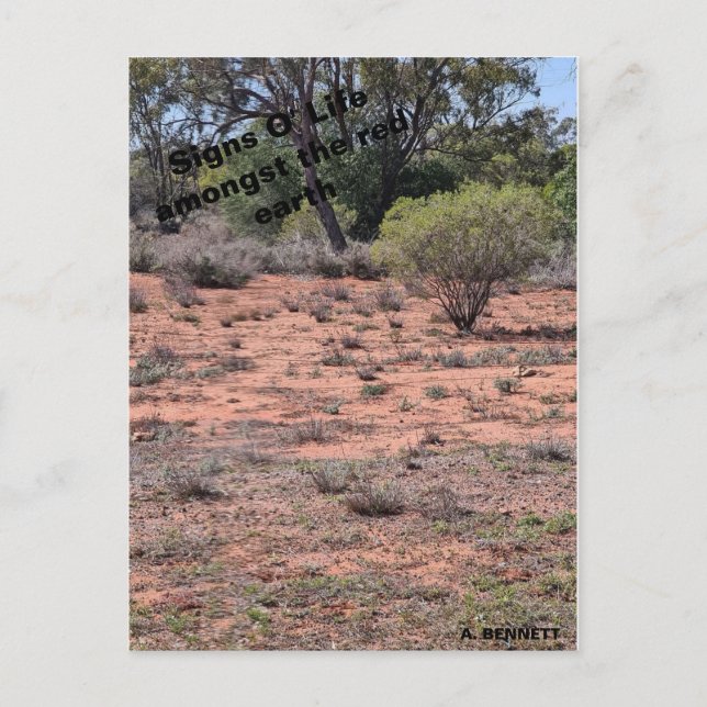 Cartão Postal Sinais da vida (Frente)