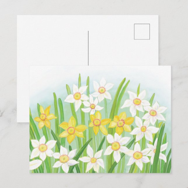 Cartão Postal Sinais de Daffodils do Cartão-postal primavera (Frente/Verso)