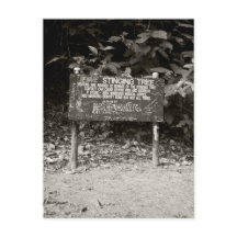 Sinal de aviso da árvore de toque