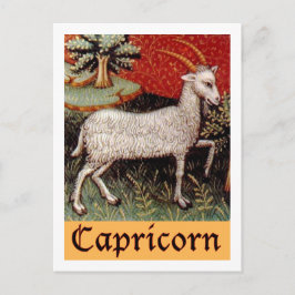 Cartão Postal Sinal de Capricórnio Zodiac Exótico