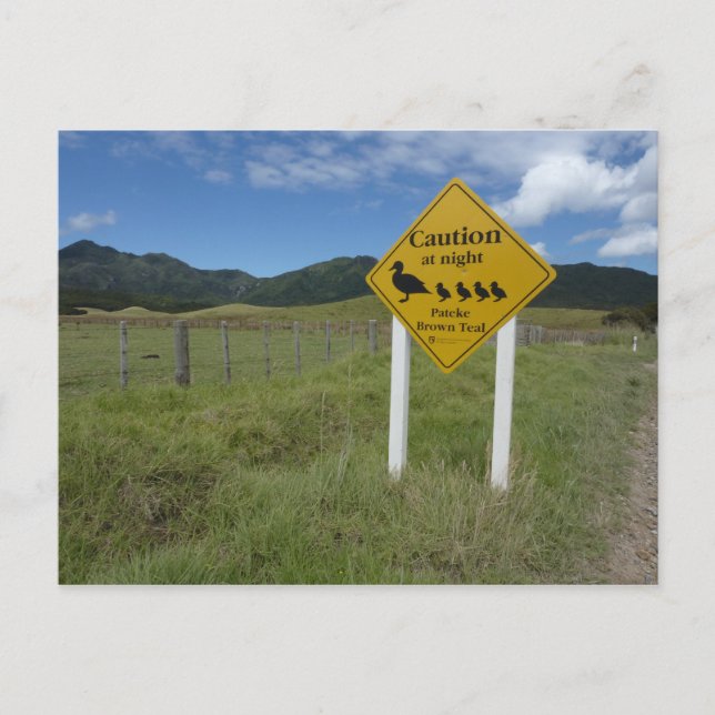 Cartão Postal Sinal de Pateke Cartão-Postal 3 (Frente)