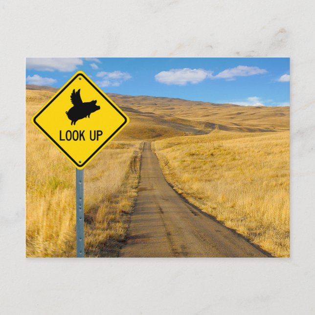 Cartão Postal Sinal de Suíno Voador (Frente)