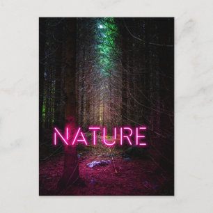 Cartão Postal Sinal magenta da natureza neon-magenta da floresta