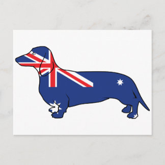 Cartão Postal Sinalizador australiano Dachshund