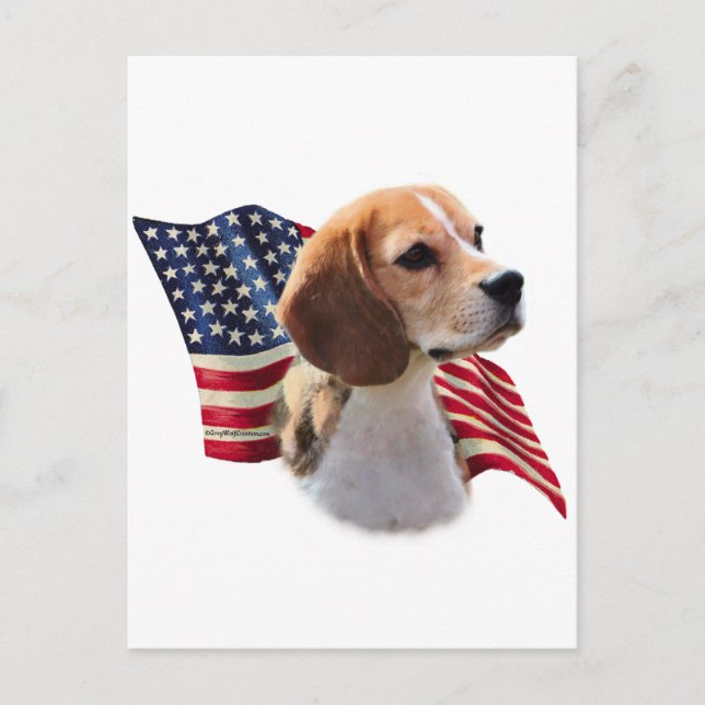 Cartão Postal Sinalizador Beagle (Frente)
