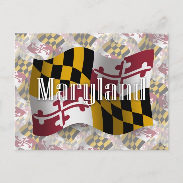 Cartão Postal Sinalizador de Ondas de Maryland (Frente)