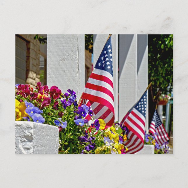 Cartão Postal Sinalizadores + Flores (Frente)