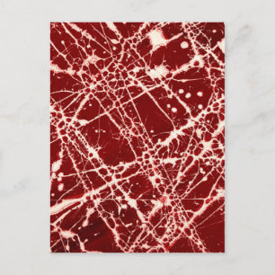 CARTÃO POSTAL SINAPSES ~