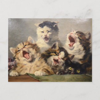 Cartão Postal Sinfonia de Gatinhos por Julius Adam II