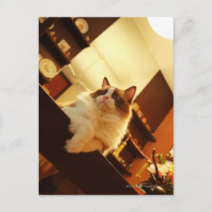 Cartão Postal Singapura 6