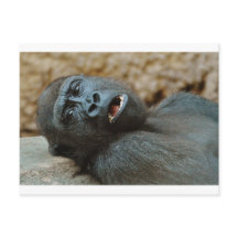 "Sinto-me tão sonolento"