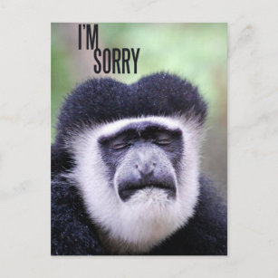 Cartão Postal Macacos Cantores Engraçados - Macacos Barbários