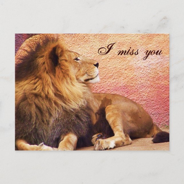 Cartão Postal Sinto saudades de você. (Frente)