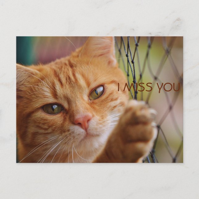 CARTÃO POSTAL SINTO SUA FALTA (Frente)