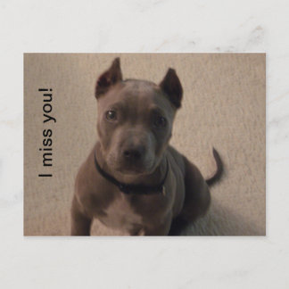Cartão Postal Sinto sua falta!