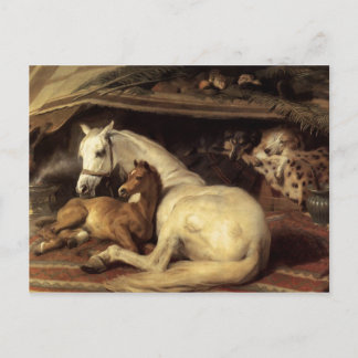 Cartão Postal Sir Edwin Henry Landseer | A tenda árabe