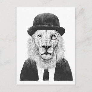 Cartão Postal Sir lion