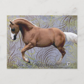 Cartão Postal SirRHMaximilian2