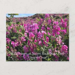 Cartão Postal Sisters Rock State Park, Costa do Oregon