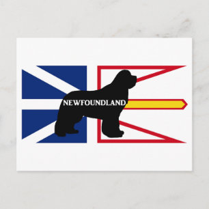 Cartão Postal Sítio do nome da Terra Nova no flag.png