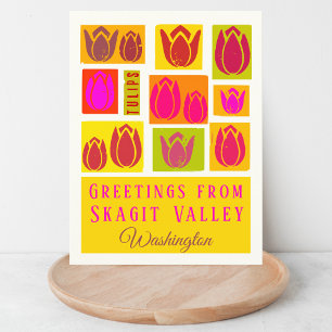Cartão Postal Skagit Valley County Tulip Washington