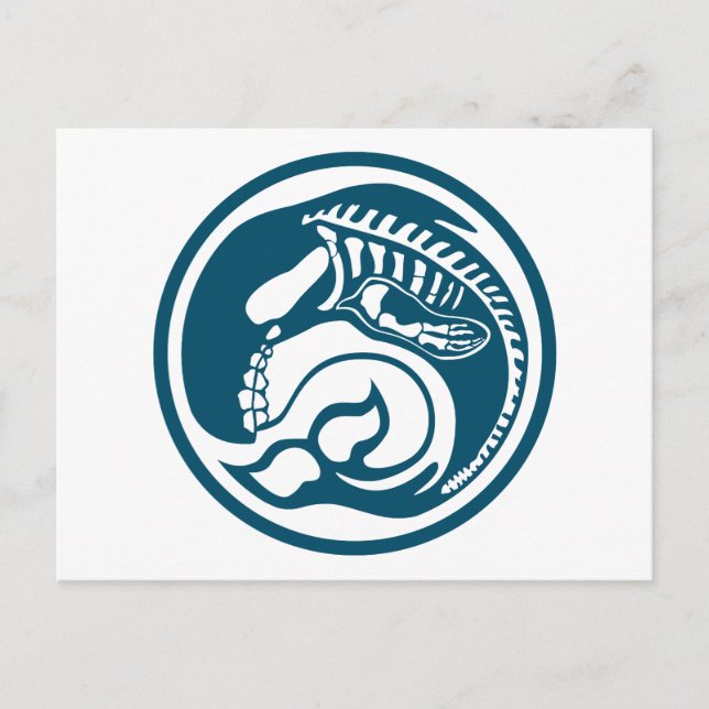 Cartão Postal skeleorca (Frente)