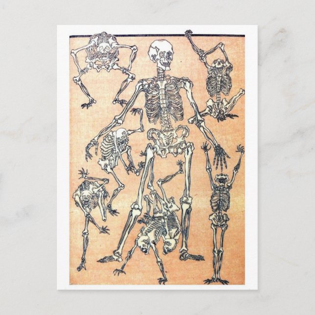 Cartão postal Skeleton Dance (Frente)