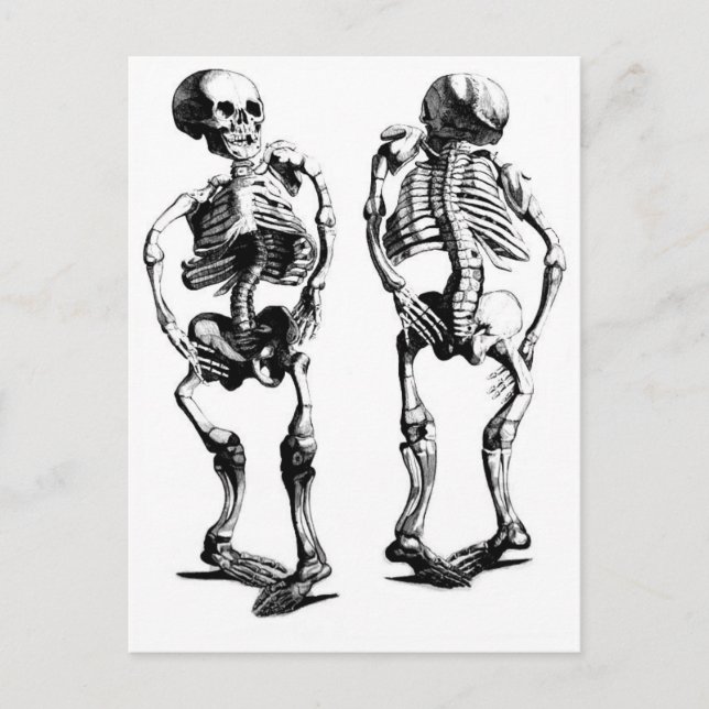 Cartão postal Skeleton Dance (Frente)