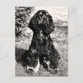 Cartão Postal Sketch do Cocker Spaniel