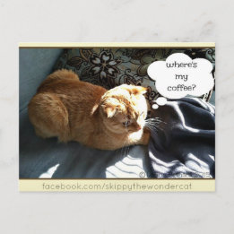 Cartão Postal Skippy Onde está o meu café