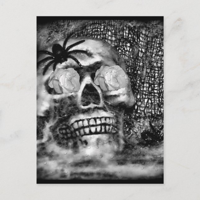Cartão Postal Skull-Spider e Rosa-2012 (Frente)