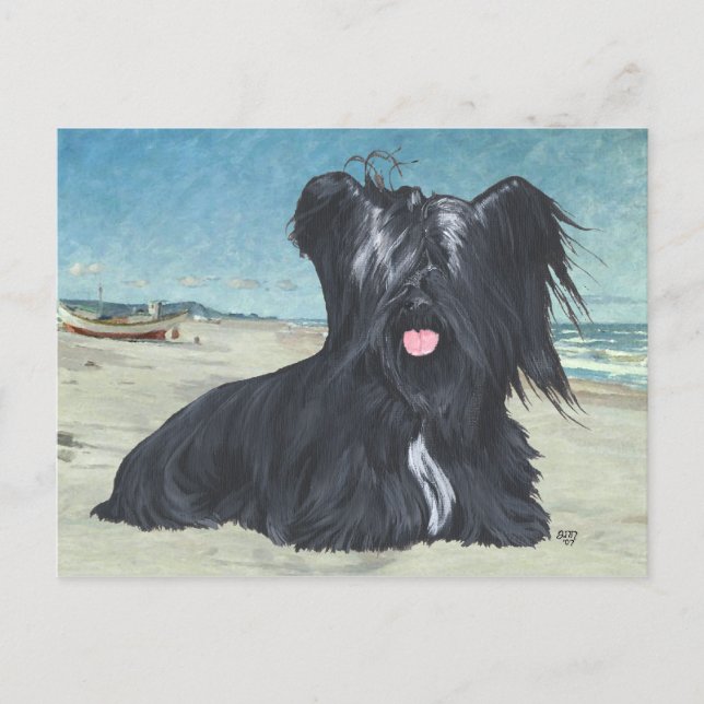 Cartão Postal Skye Terrier na praia (Frente)