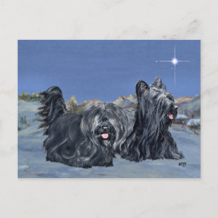 Cartão Postal SKYE Terriers em uma noite de inverno