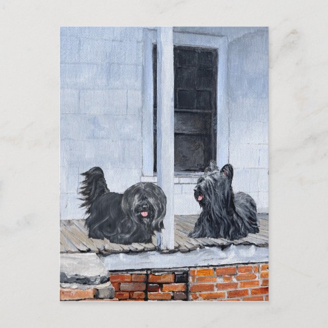 Cartão Postal Skye Terriers esperam no alpendre (Frente)