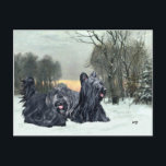 Cartão Postal Skye Terriers Snowy Sunset<br><div class="desc">Venha visitar nosso Compro Terriers para ver todos os designs sazonais de Skye Terrier criados das minhas pinturas originais. Cada um de nossos designs está disponível em mais de mil produtos diferentes. Clique em Transferir este Design na página deste produto e faça suas escolhas! Personalize qualquer design usando nossa ferramenta...</div>